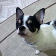 ヒメ日記 2025/05/28 12:43 投稿 ぴあ 完全密室 無抵抗