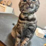 ヒメ日記 2025/12/16 18:02 投稿 ぴあ 完全密室 無抵抗