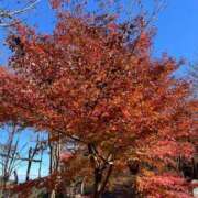 ヒメ日記 2024/12/10 06:55 投稿 なみ カワサキ EROTIC