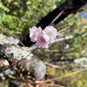 ヒメ日記 2025/01/05 08:31 投稿 なみ カワサキ EROTIC