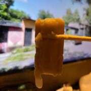 ヒメ日記 2025/01/06 23:31 投稿 なみ カワサキ EROTIC