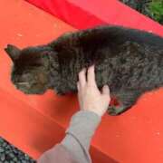 ヒメ日記 2025/01/11 14:03 投稿 なみ カワサキ EROTIC