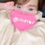 ヒメ日記 2025/01/19 06:08 投稿 なみ カワサキ EROTIC