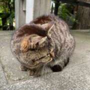 ヒメ日記 2025/01/19 08:31 投稿 なみ カワサキ EROTIC