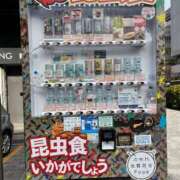 ヒメ日記 2025/01/27 16:00 投稿 なみ カワサキ EROTIC