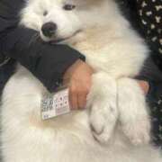 ヒメ日記 2025/01/28 18:50 投稿 なみ カワサキ EROTIC