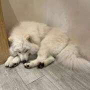 ヒメ日記 2025/01/30 23:45 投稿 なみ カワサキ EROTIC