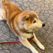 ヒメ日記 2025/02/02 20:39 投稿 なみ カワサキ EROTIC