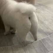 ヒメ日記 2025/02/03 17:15 投稿 なみ カワサキ EROTIC