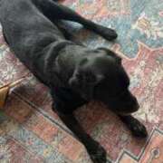 ヒメ日記 2025/03/08 23:45 投稿 なみ カワサキ EROTIC