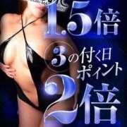 ヒメ日記 2025/03/13 16:31 投稿 なみ カワサキ EROTIC