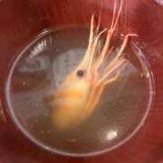 ヒメ日記 2025/03/15 08:45 投稿 なみ カワサキ EROTIC