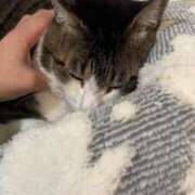 ヒメ日記 2025/03/21 10:45 投稿 なみ カワサキ EROTIC