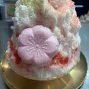 ヒメ日記 2025/03/24 21:02 投稿 なみ カワサキ EROTIC