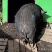 ヒメ日記 2025/03/26 21:59 投稿 なみ カワサキ EROTIC