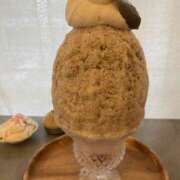 ヒメ日記 2025/03/29 18:47 投稿 なみ カワサキ EROTIC