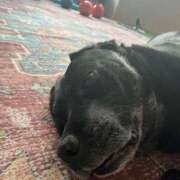 ヒメ日記 2025/03/30 07:31 投稿 なみ カワサキ EROTIC