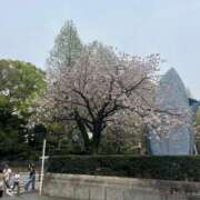 ヒメ日記 2025/04/12 09:22 投稿 なみ カワサキ EROTIC