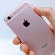 ヒメ日記 2025/04/17 17:19 投稿 なみ カワサキ EROTIC