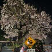 ヒメ日記 2025/04/19 10:02 投稿 なみ カワサキ EROTIC