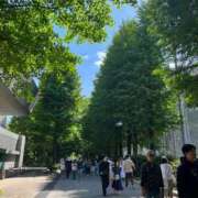 ヒメ日記 2025/05/11 16:30 投稿 なみ カワサキ EROTIC