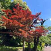 ヒメ日記 2025/05/11 23:45 投稿 なみ カワサキ EROTIC