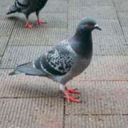 ヒメ日記 2025/05/20 13:30 投稿 なみ カワサキ EROTIC