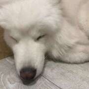 ヒメ日記 2025/05/21 19:05 投稿 なみ カワサキ EROTIC