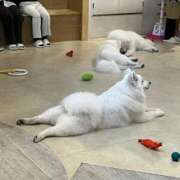 ヒメ日記 2025/06/03 16:18 投稿 なみ カワサキ EROTIC