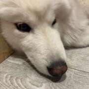 ヒメ日記 2025/06/17 21:59 投稿 なみ カワサキ EROTIC