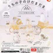 ヒメ日記 2025/06/20 23:46 投稿 なみ カワサキ EROTIC