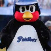 ヒメ日記 2025/06/28 22:01 投稿 なみ カワサキ EROTIC