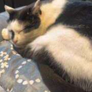 ヒメ日記 2025/07/08 20:02 投稿 なみ カワサキ EROTIC