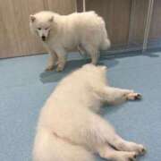 ヒメ日記 2025/07/08 22:30 投稿 なみ カワサキ EROTIC