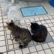 ヒメ日記 2025/08/01 05:05 投稿 なみ カワサキ EROTIC