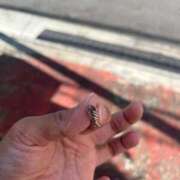 ヒメ日記 2025/08/03 16:02 投稿 なみ カワサキ EROTIC