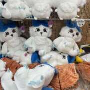 ヒメ日記 2025/08/04 10:31 投稿 なみ カワサキ EROTIC