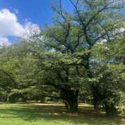 ヒメ日記 2025/08/06 16:45 投稿 なみ カワサキ EROTIC