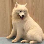 ヒメ日記 2025/08/15 23:30 投稿 なみ カワサキ EROTIC