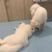 ヒメ日記 2025/08/31 17:40 投稿 なみ カワサキ EROTIC