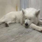 ヒメ日記 2025/09/07 16:00 投稿 なみ カワサキ EROTIC