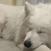 ヒメ日記 2025/09/10 13:38 投稿 なみ カワサキ EROTIC