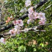 ヒメ日記 2025/09/11 22:01 投稿 なみ カワサキ EROTIC