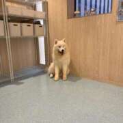 ヒメ日記 2025/09/18 07:35 投稿 なみ カワサキ EROTIC