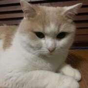 ヒメ日記 2025/09/18 19:02 投稿 なみ カワサキ EROTIC