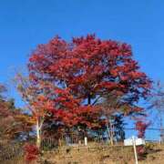 ヒメ日記 2025/09/21 10:30 投稿 なみ カワサキ EROTIC