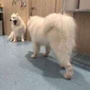 ヒメ日記 2025/09/21 21:01 投稿 なみ カワサキ EROTIC