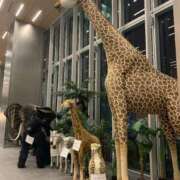 ヒメ日記 2025/09/25 09:35 投稿 なみ カワサキ EROTIC