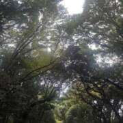 ヒメ日記 2025/10/03 23:00 投稿 なみ カワサキ EROTIC