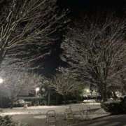 ヒメ日記 2025/10/08 07:26 投稿 なみ カワサキ EROTIC